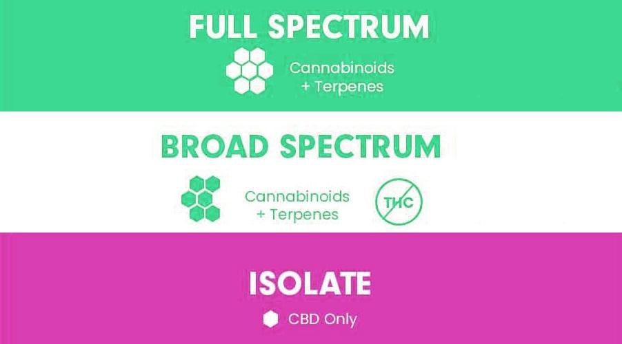 What is the difference between Isolate, Broad Spectrum and Full Spectrum CBD? CBD Emporium