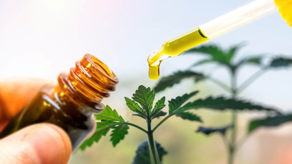 5 Easy Ideas to Maximize the Results from CBD Oil