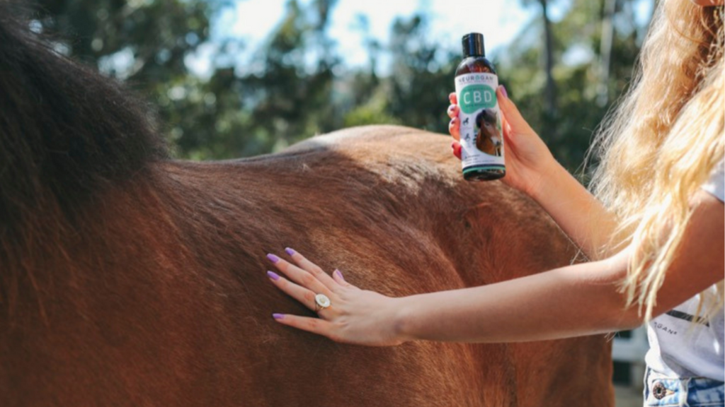 CBD For Horses Research