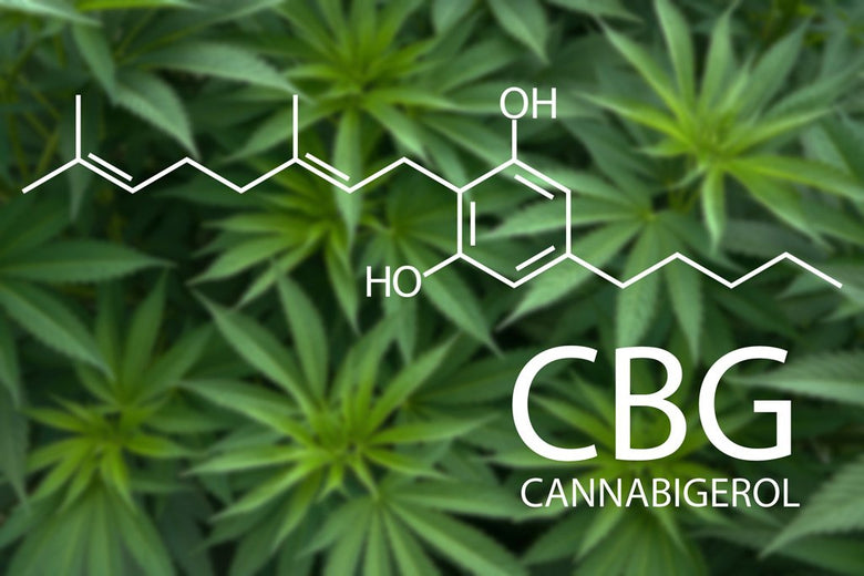What is CBG (Cannabigerol)? CBD Emporium