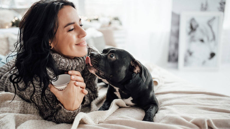 How CBD Can Help Benefit Your Pets