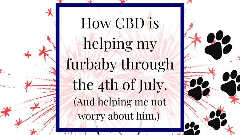 CBD and Pets for the 4th of July