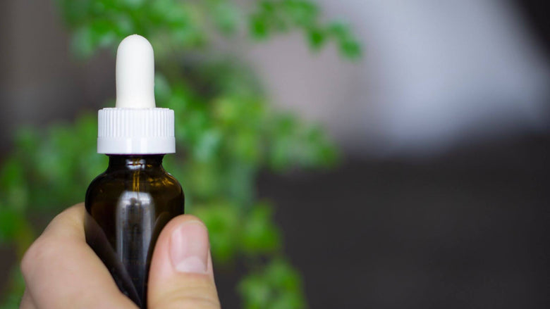 Hand holding a CBD Tincture bottle with CBD Plant in the background (The Connection Between CBD and Terpenes)